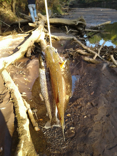 Park «Garrard Landing Park», reviews and photos, 8000 Holcomb Bridge Rd, Alpharetta, GA 30022, USA