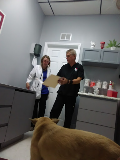 Paws Vet Care Center image