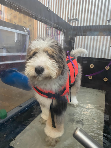 4130 N Rockwell St, Chicago, IL 60618, USA