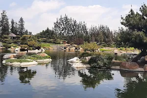 The Japanese Garden image