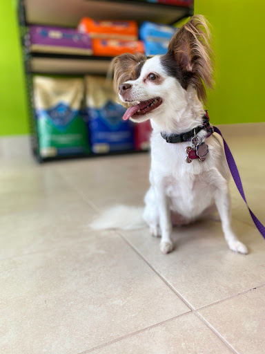 Kennedy's Pet Services