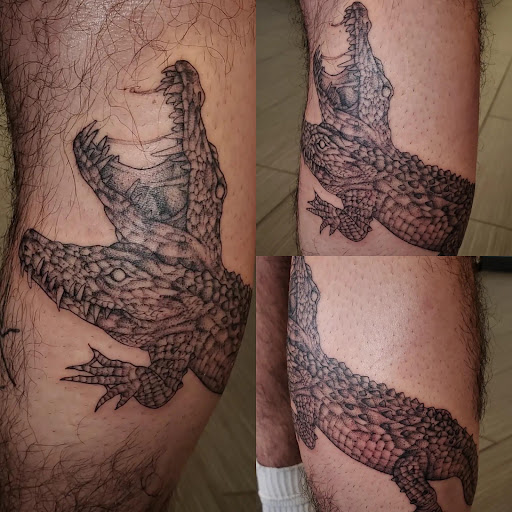 Explore small book tattoo ideas, creative tattoo ideas in Palm Harbor, available at Angry Owl Tattoo and Piercing