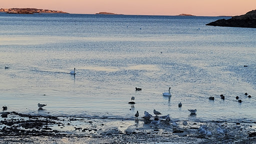 Nature Preserve «Steer Swamp Conservation Area», reviews and photos, 188 Washington St, Marblehead, MA 01945, USA