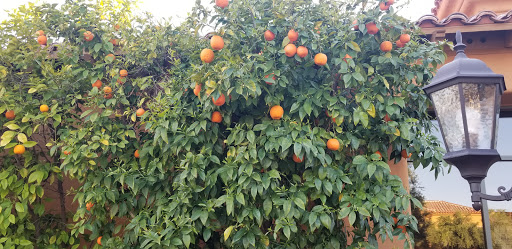 Golf Club «Tuscany Falls Golf Course», reviews and photos, 16262 Clubhouse Dr, Goodyear, AZ 85395, USA