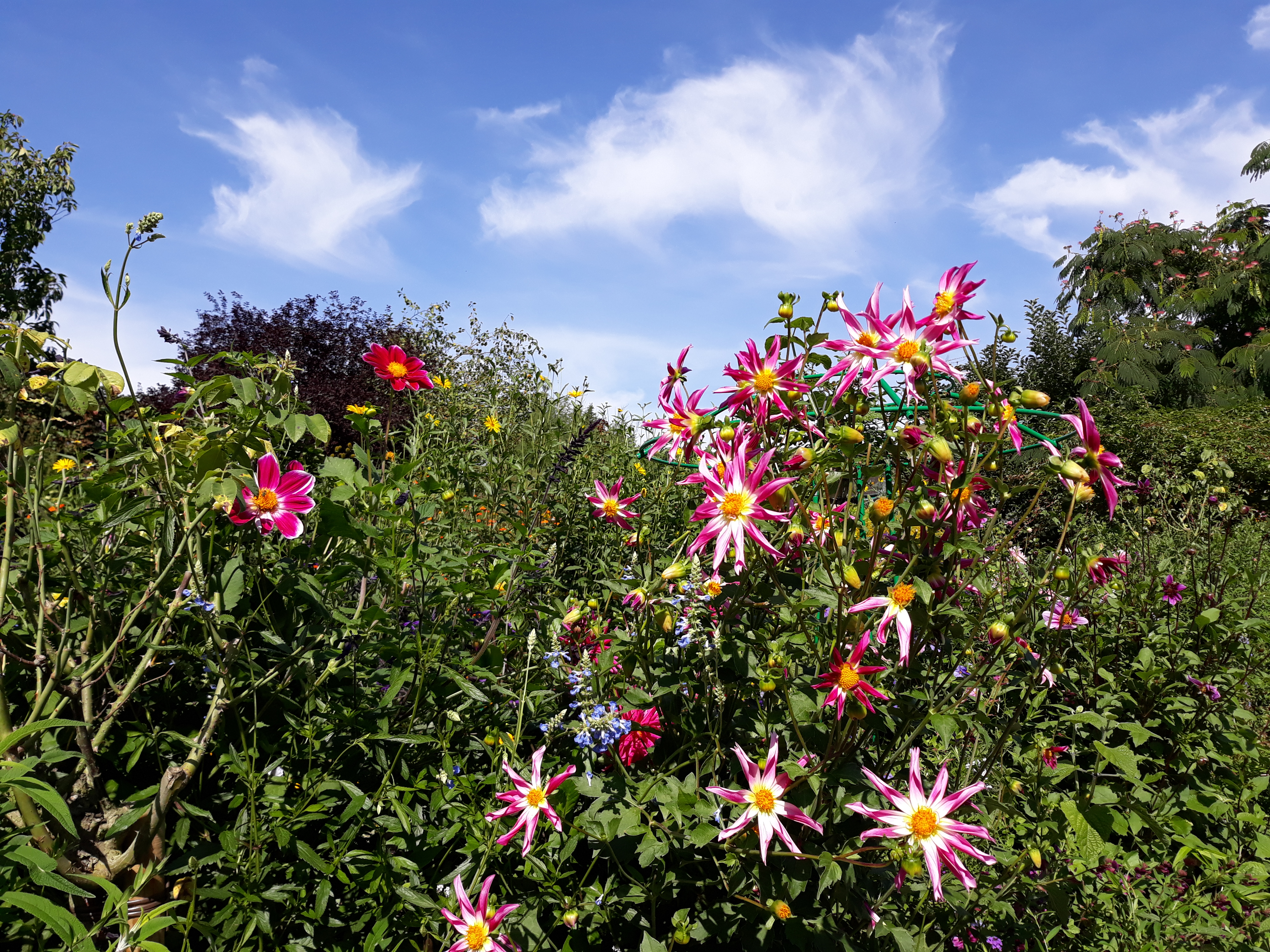 Photo n° 18 de l'avis de Zaj.h fait le 17/09/2018 à 16:50