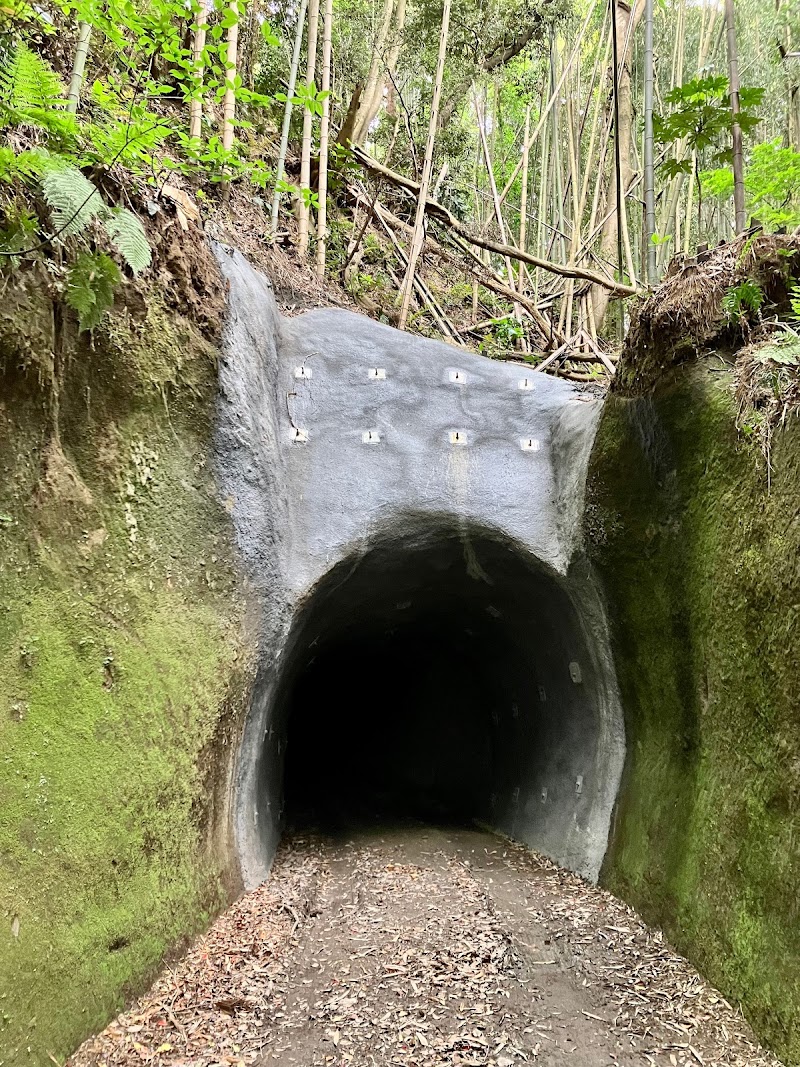 林隧道