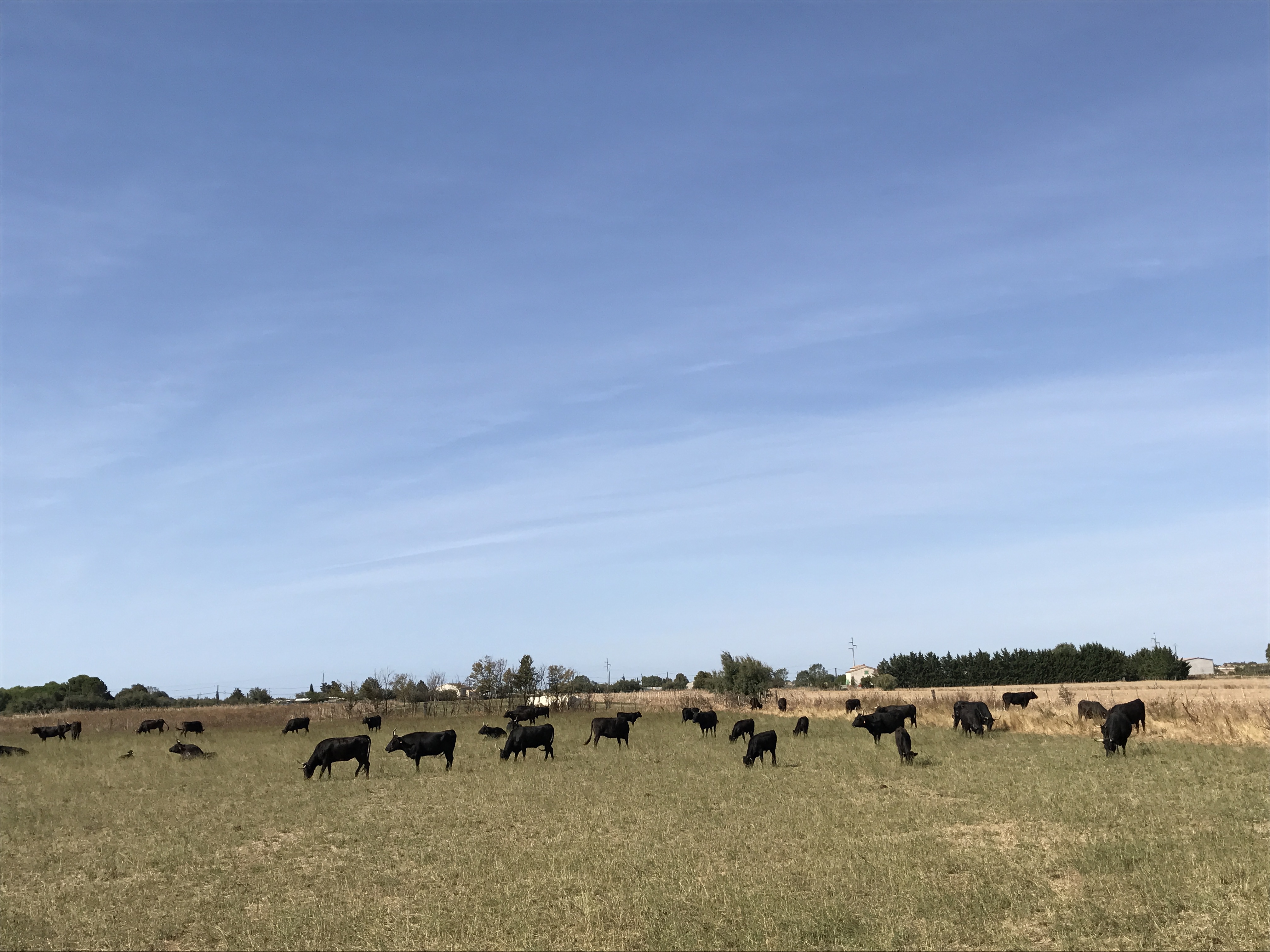 Photo n° 1 de l'avis de Matthieu.a fait le 07/09/2017 à 12:45