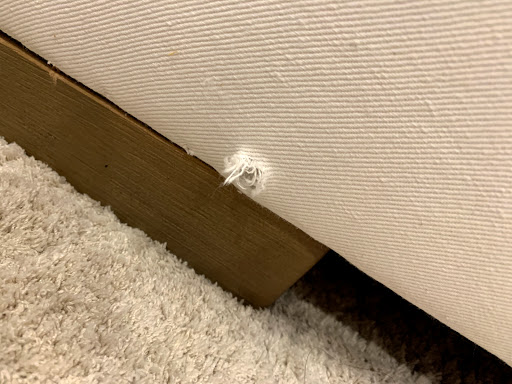 Furniture Store «Pottery Barn», reviews and photos, 75 Middlesex Turnpike #2001a, Burlington, MA 01803, USA