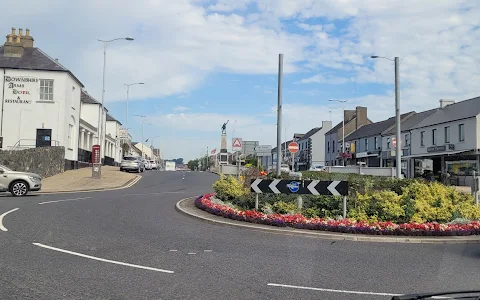 Downshire Arms Hotel image