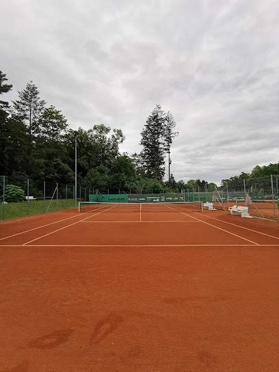 Tennisclub Seebenstein-Schiltern