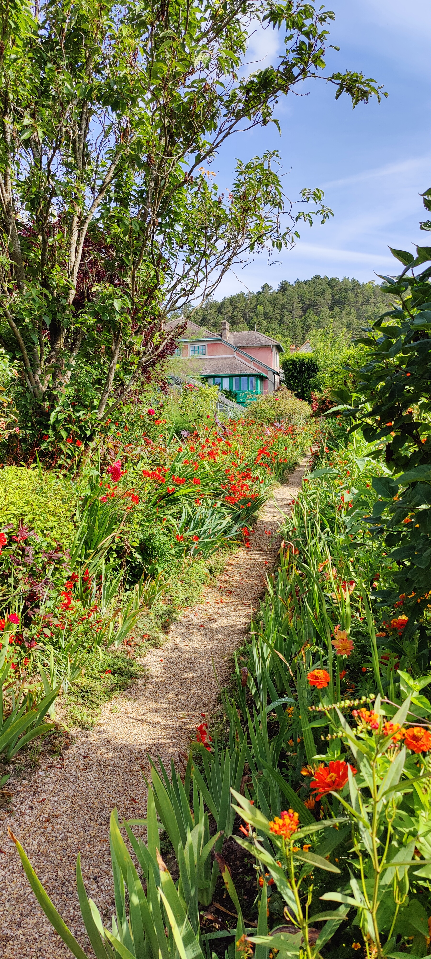 Photo n° 2 de l'avis de Clo.a fait le 17/07/2023 à 16:16