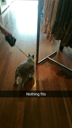 Banana Republic, 16 Midway Rd, Cranston, RI 02920, USA, 