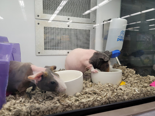 Pet Supply Store «Petco Animal Supplies», reviews and photos, 6137 Mid Rivers Mall Dr, St Charles, MO 63304, USA