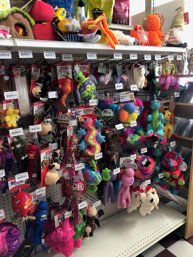 Pet Supply Store «Village Pets & Supplies», reviews and photos, 1425 Fulton Rd, Santa Rosa, CA 95403, USA