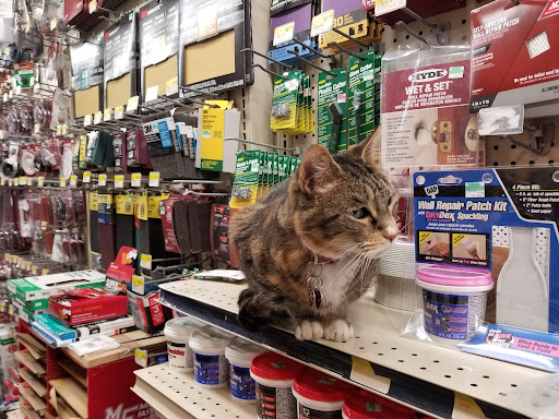 Hardware Store «Charles Street Supply», reviews and photos, 54 Charles St, Boston, MA 02114, USA