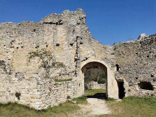 Vieux village médieval d'Allan à Allan