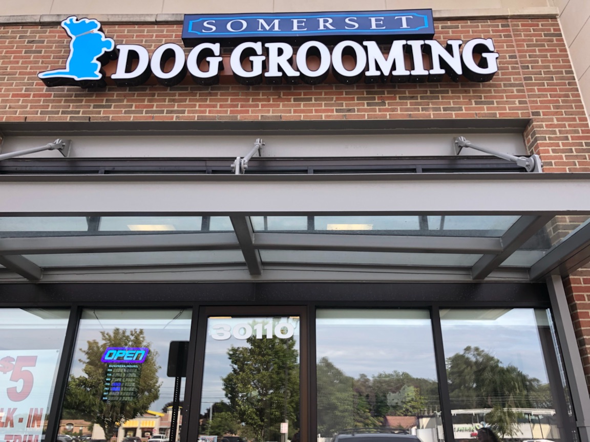 Somerset Dog Grooming