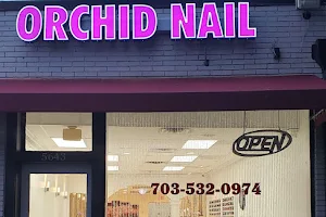 Orchid Nail image