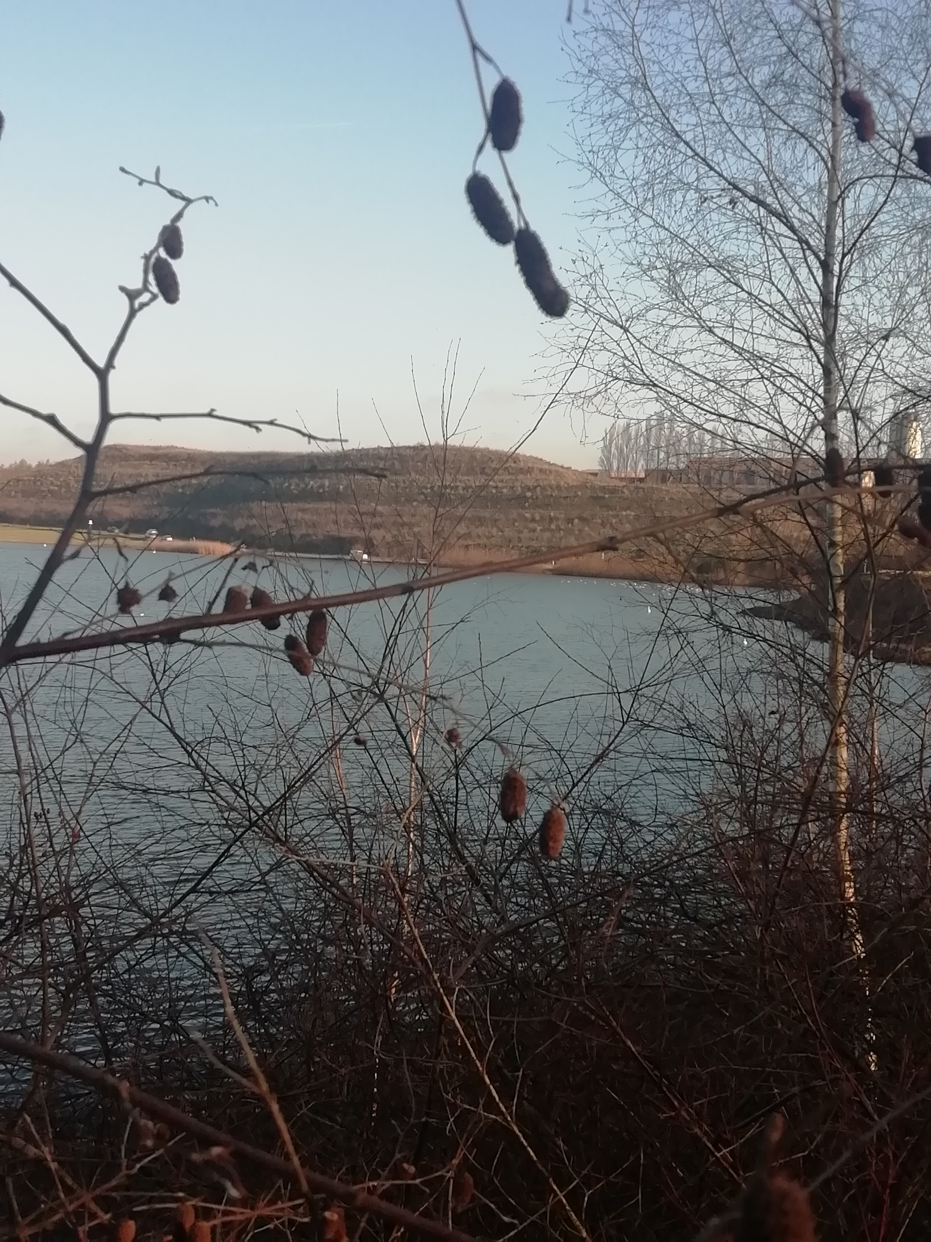 Photo n° 8 de l'avis de annette.e fait le 27/02/2021 à 17:26