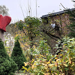 Photo n°1 de l'avis de Carola.a fait le 29/10/2019 à 09:03 sur le  Café Alte Liebe Hölle à Naila