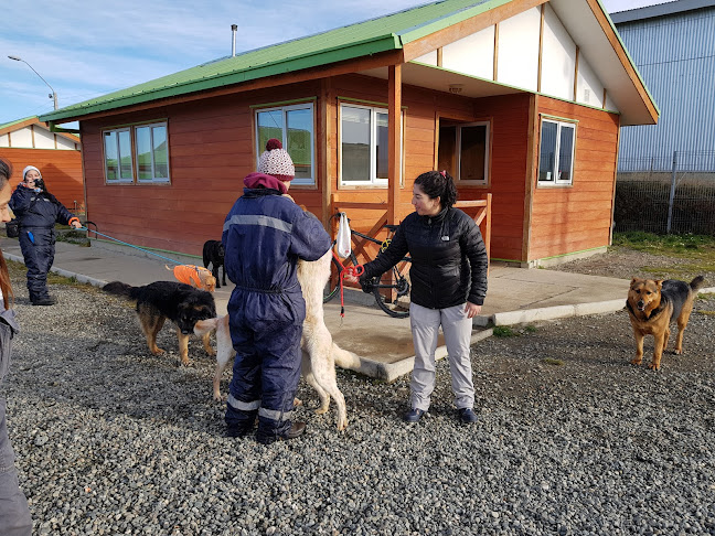 Centro de Rescate Canino Municipal