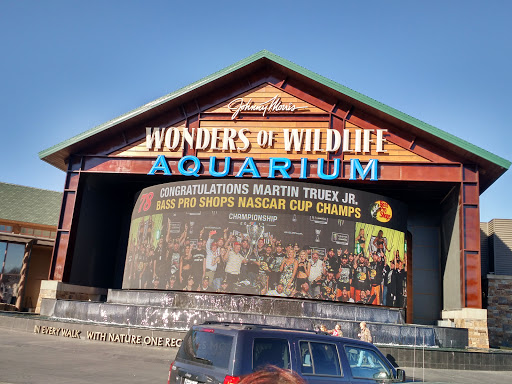 Sporting Goods Store «Bass Pro Shops», reviews and photos, 1935 S Campbell Ave, Springfield, MO 65807, USA