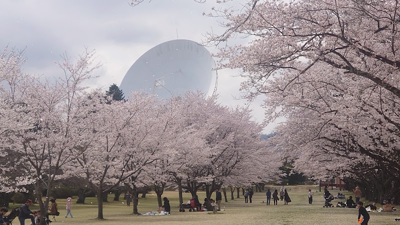 高萩市衛星通信記念公園(さくら宇宙公園)