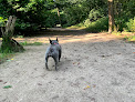 Best Dog Friendly Parks In Hamburg Near You