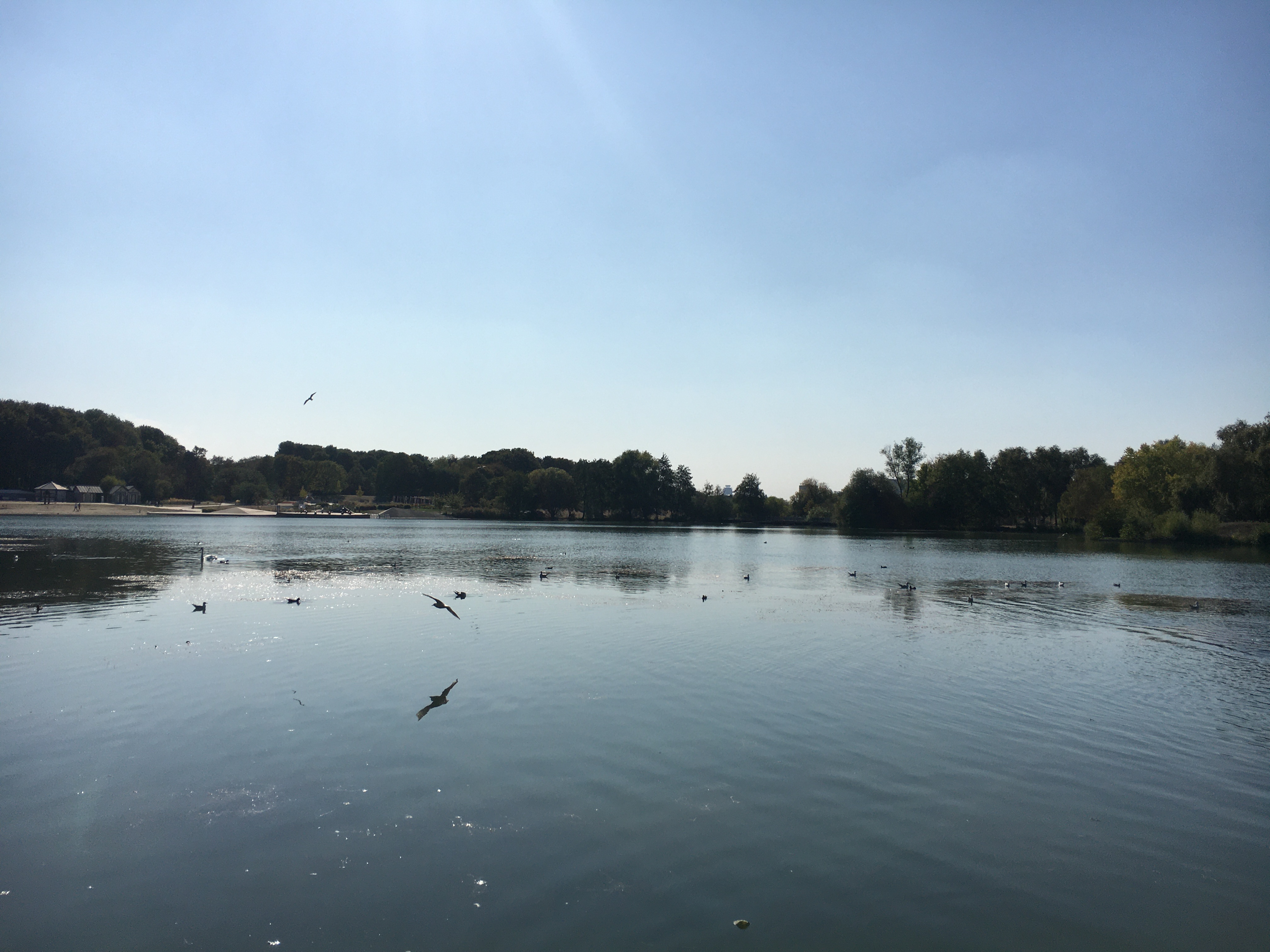 Photo n° 5 de l'avis de Anonyme. fait le 28/10/2020 à 19:58