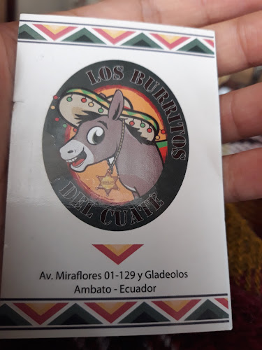 Micro Los Huertos - Ambato