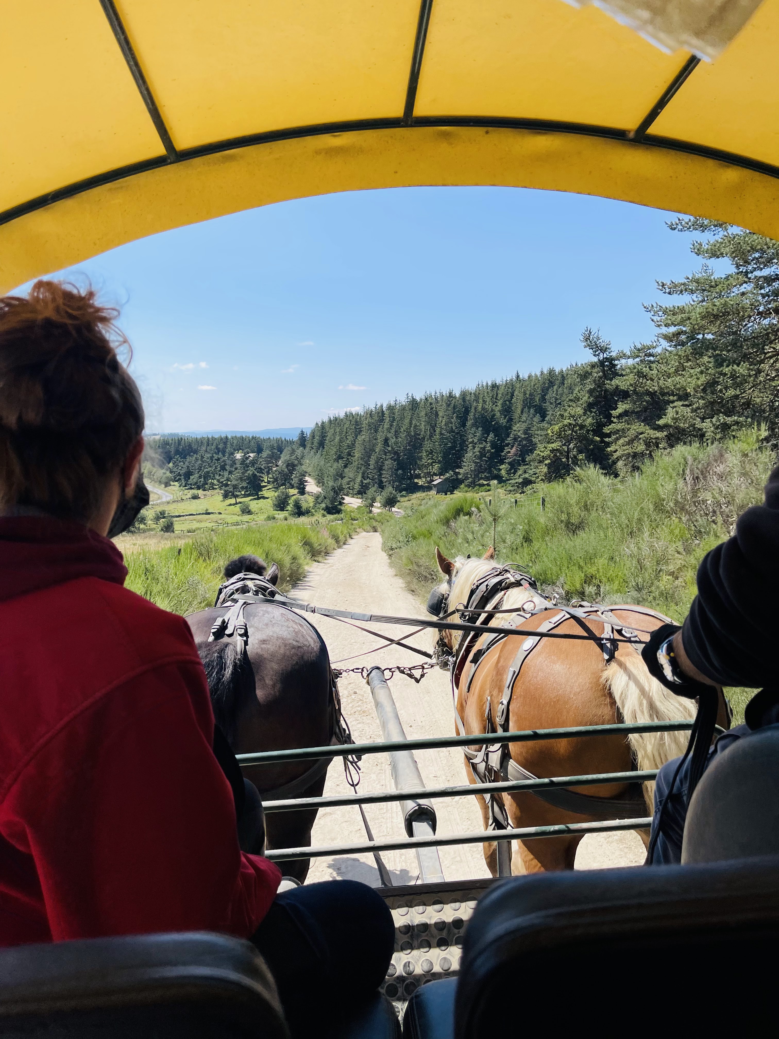 Photo n° 8 de l'avis de Karine.o fait le 30/08/2021 à 17:46