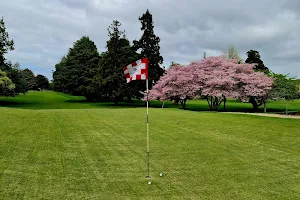 Te Awamutu Golf Club image