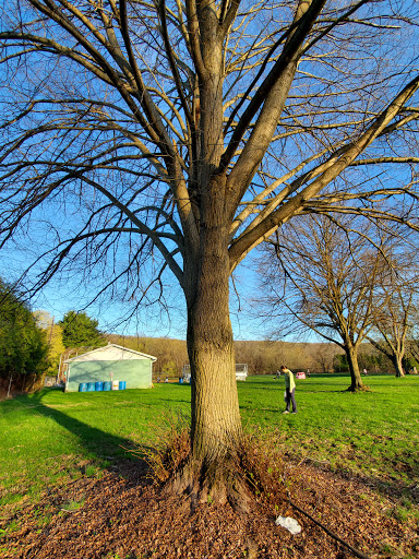 Nature Preserve «Wildlands Conservancy South Mountain Preserve», reviews and photos, Alpine St, Emmaus, PA 18049, USA