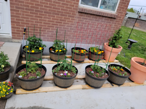 Farm Equipment Supplier «C-A-L Ranch Stores», reviews and photos, 2735 7800 S, West Jordan, UT 84088, USA