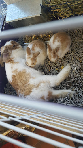 Pet Supply Store «Coastline Pet Supply», reviews and photos, 3530 Northgate Dr, Myrtle Beach, SC 29588, USA