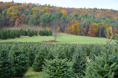 Chestnut Mountain Christmas Tree Farm