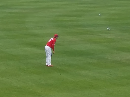 Stadium «Clearwater Threshers», reviews and photos, 601 Old Coachman Rd, Clearwater, FL 33765, USA