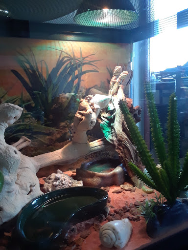 Pet Store «34 Pet Shop», reviews and photos, 3434 W Slauson Ave, Los Angeles, CA 90043, USA