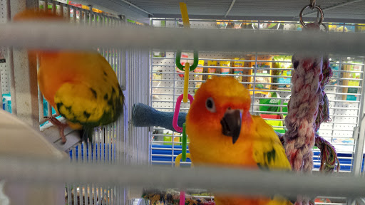 Tropical Fish Store «Stingray Bay», reviews and photos, 17800 E 9 Mile Rd, Eastpointe, MI 48021, USA