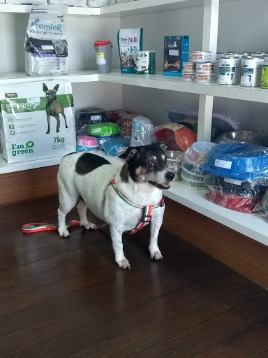 Logo da empresa - Bio Bichos