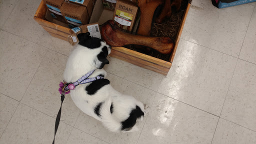 Pet Supply Store «Concord Pet Foods & Supplies», reviews and photos, 19287 Miller Rd, Rehoboth Beach, DE 19971, USA