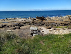 Hopeman Beach'in fotoğrafı vahşi alan