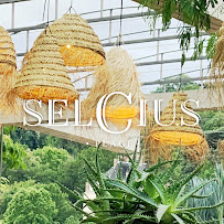 Photos du propriétaire du Restaurant Selcius à Lyon - n°20