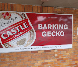 The Barking Gecko photo