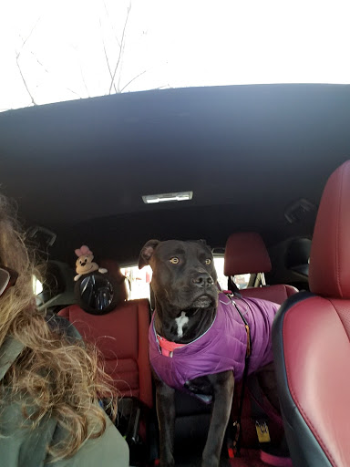 Jewelry Store «Tiffany & Co.», reviews and photos, 105 Broad St, Red Bank, NJ 07701, USA