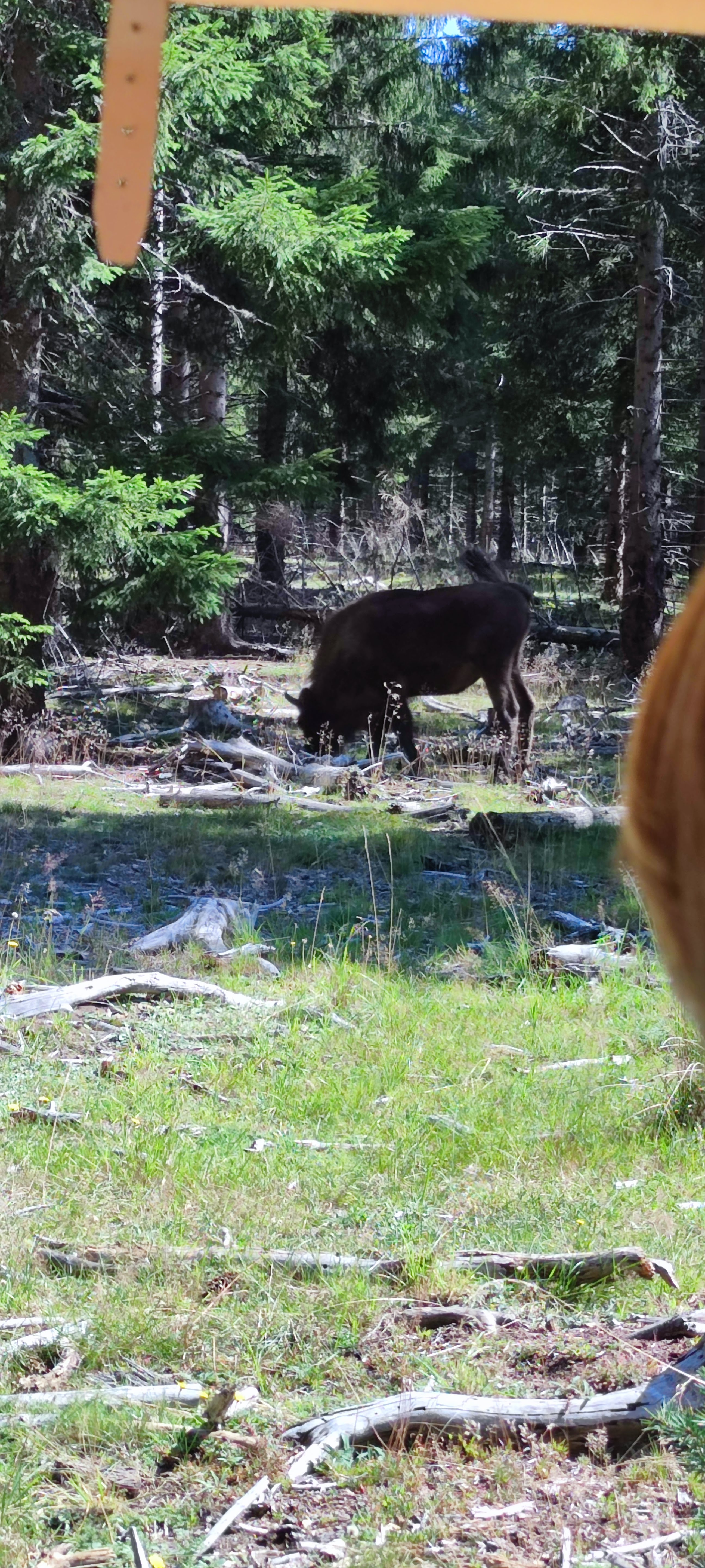Photo n° 3 de l'avis de Natacha.a fait le 24/08/2021 à 13:17