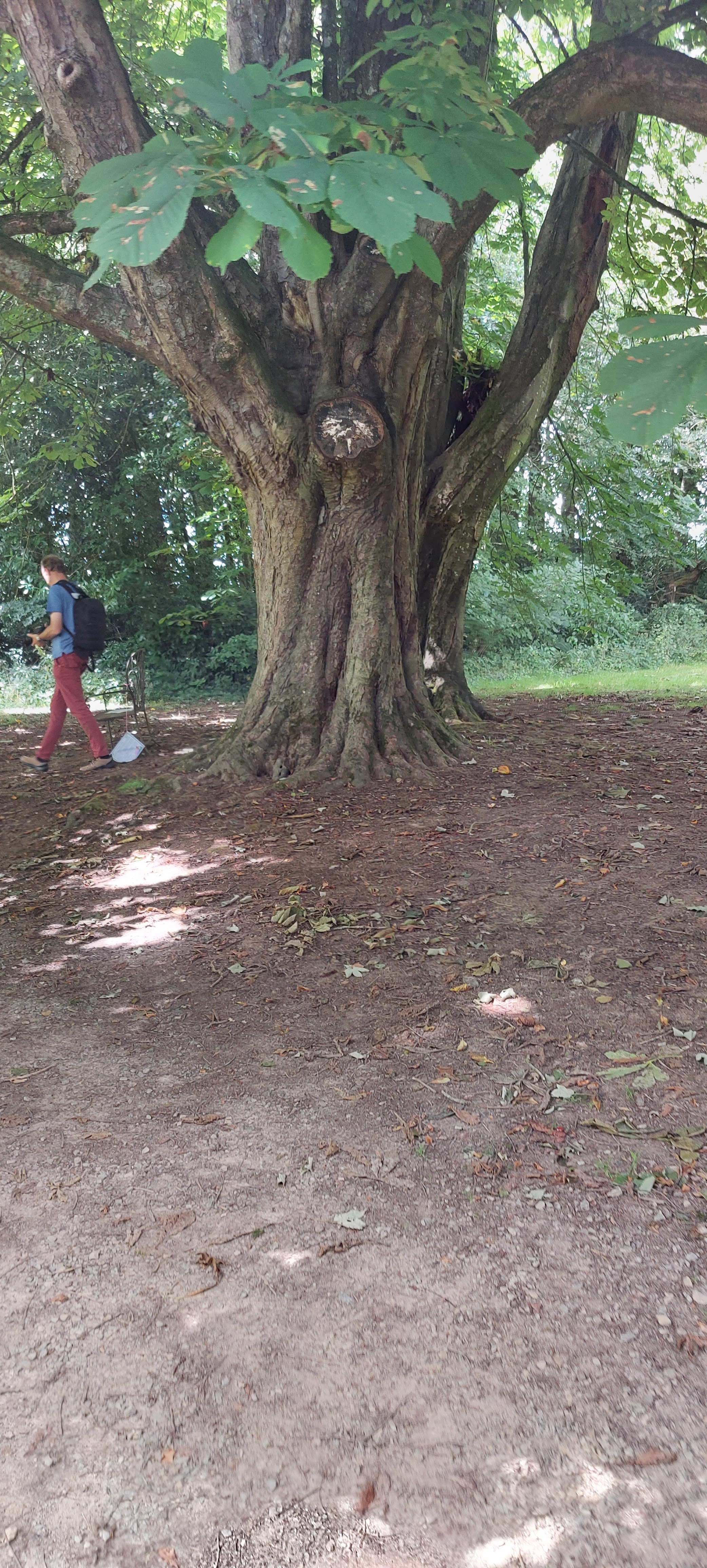 Photo n° 3 de l'avis de Isabelle.p fait le 22/08/2023 à 10:21