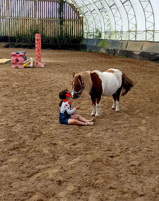 Association La Somme de nos pas - Médiation par le cheval à Gapennes