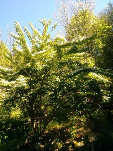 Gift Shop «Stonehedge Gardens», reviews and photos, 51 Dairy Rd, Tamaqua, PA 18252, USA