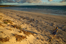Foto van West End Beach met hoog niveau van netheid